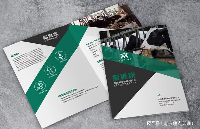 NG28南宫南京游戏公司画册设想-南京科技产物画册印刷-南京医疗折页印刷(图2)